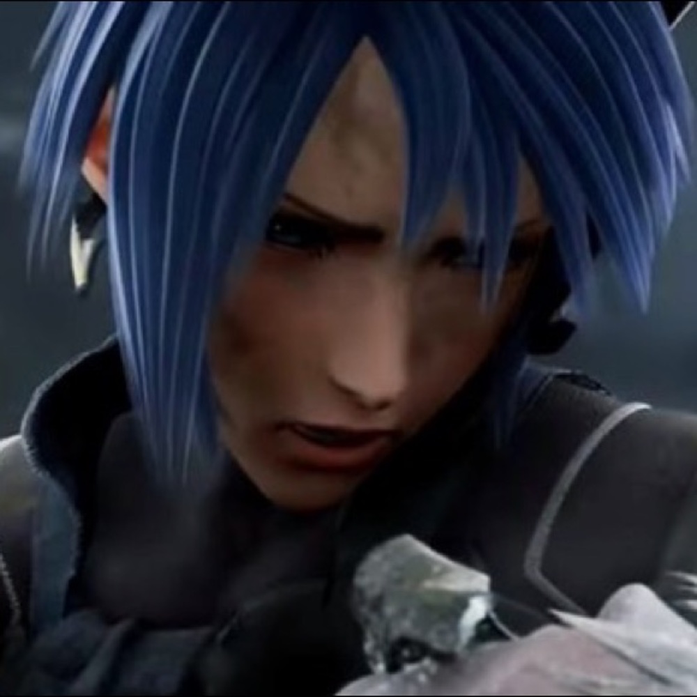 Meet your Posher, Roxas